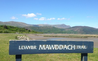 Explore the Mawddach Trail