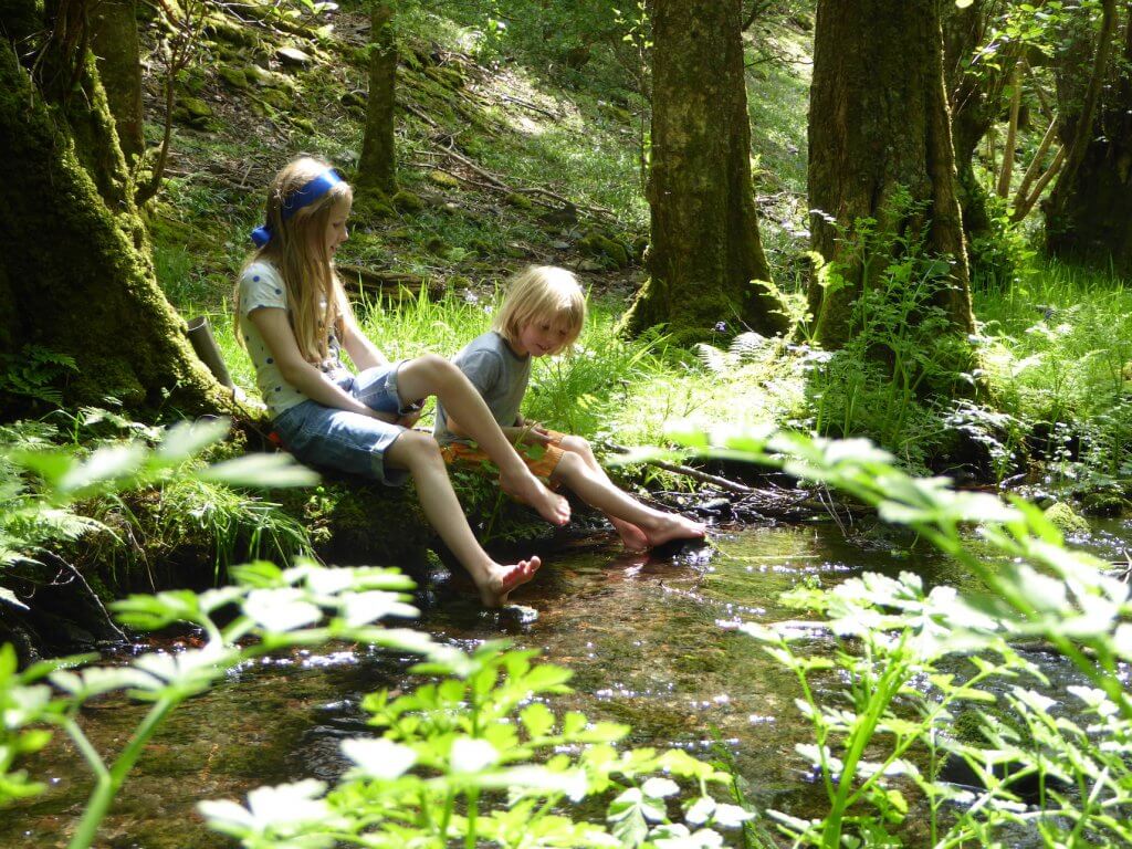 Family Glamping Wales, Dog Friendly Cottages Snowdonia Camping