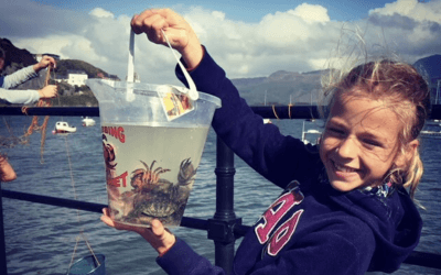 Snowdonia family activities for your half term holiday