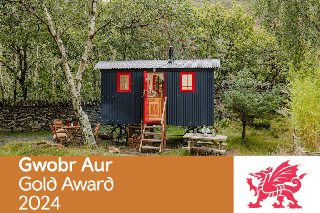 shepherd's hut, glamping snowdonia