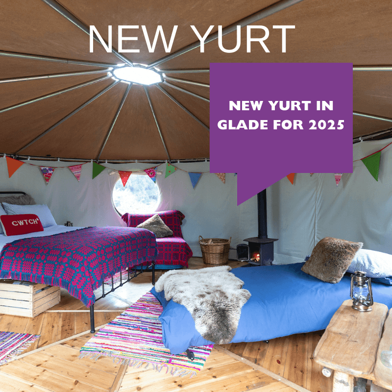 New yurt announcement picture