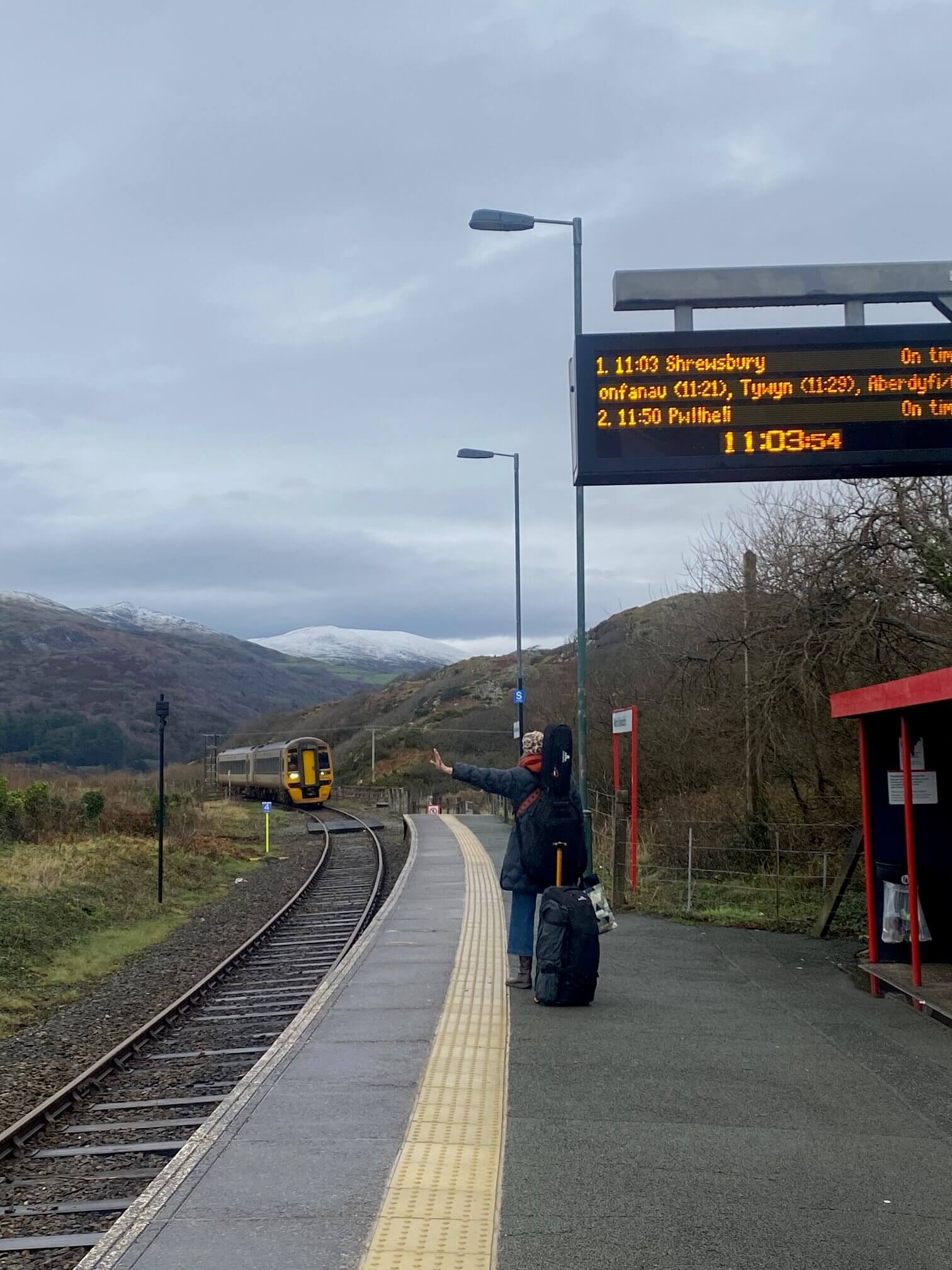 REquest stop at Mora Mawddach, car free staycation Wales