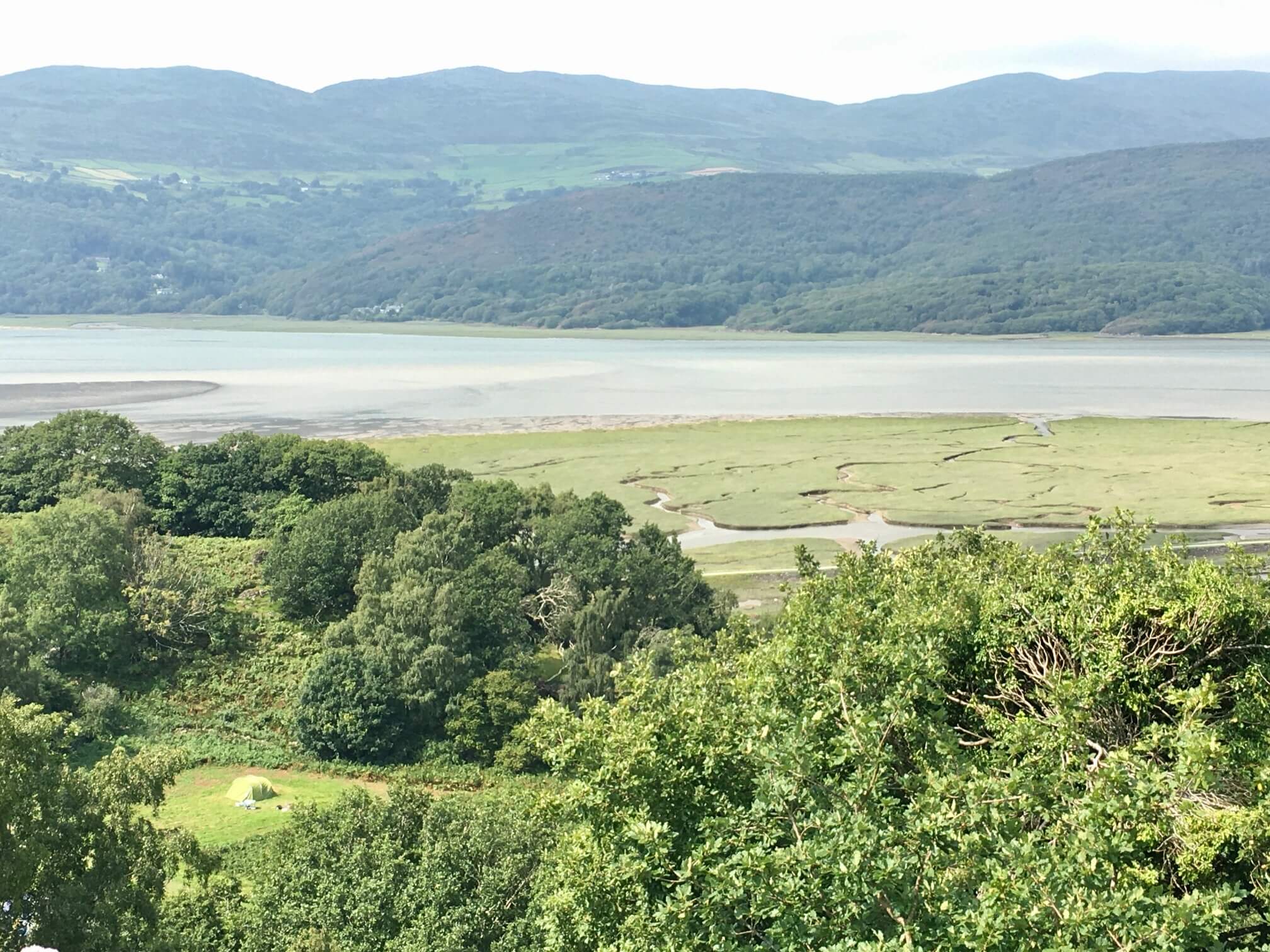 Woodland by Mawddach Estuary